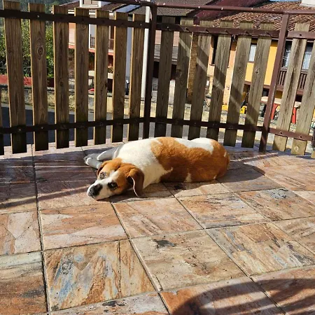 Hébergement de vacances Casa La Campa Cardes (Infiesto)